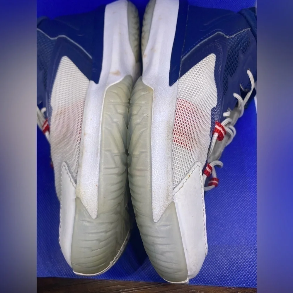 Nike Jordan Zion 1 GS 'USA' DC2024-401 Blue Void White Metallic Gold